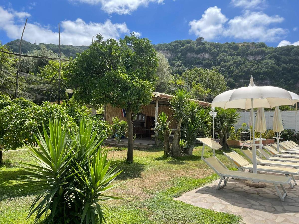 Casa Sorrento, Immerso Nel Verde A Pochi Passi Dal Centro Экстерьер фото